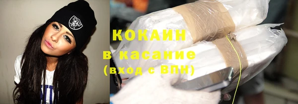 шишки Балахна