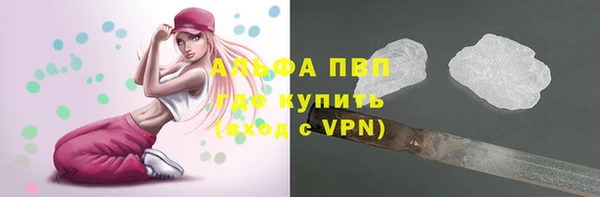 шишки Балабаново