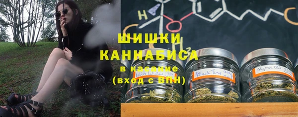 шишки Балабаново