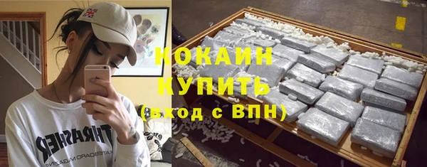 шишки Балабаново
