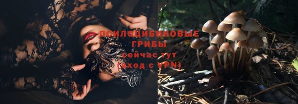 шишки Балабаново