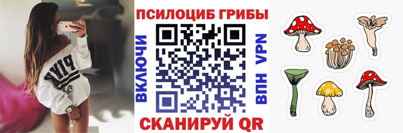 Галлюциногенные грибы MAGIC MUSHROOMS  Черногорск 